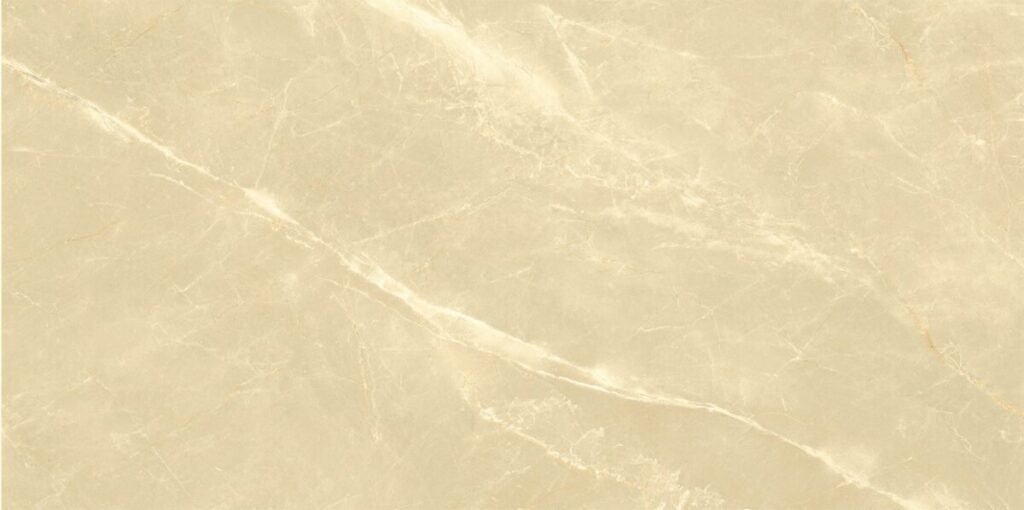 ファブ6.0磨き個別39