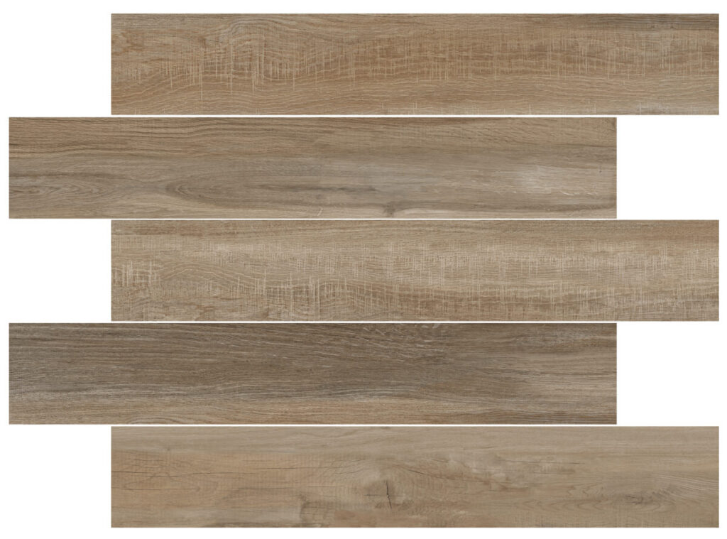 レーニョ個別101