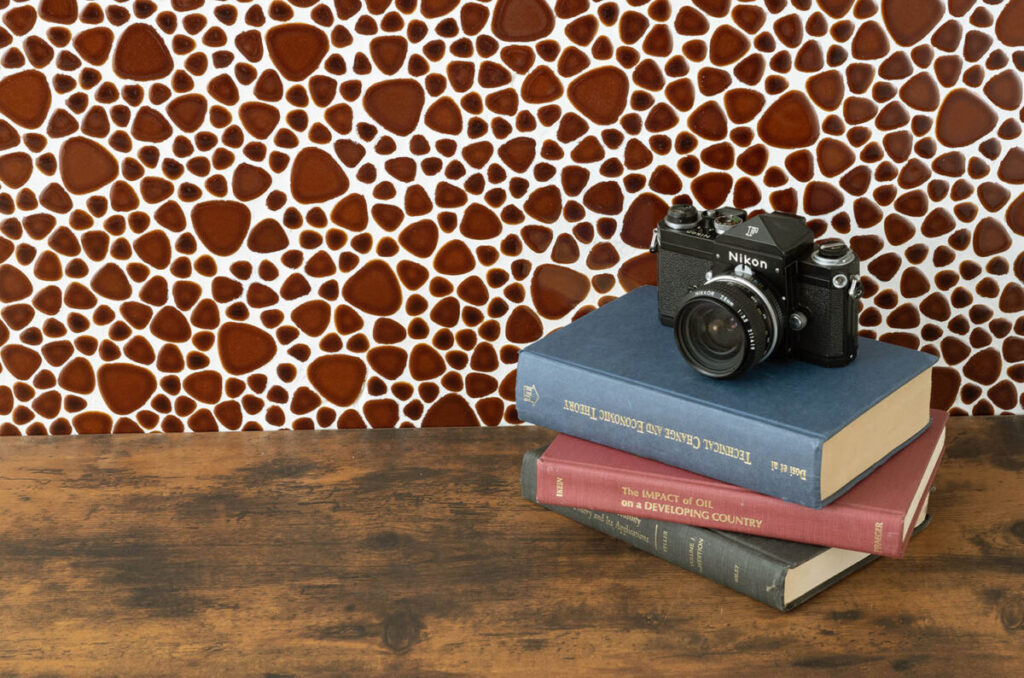 ディシオ施工例2