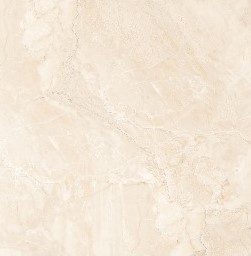 クレモソ個別101P