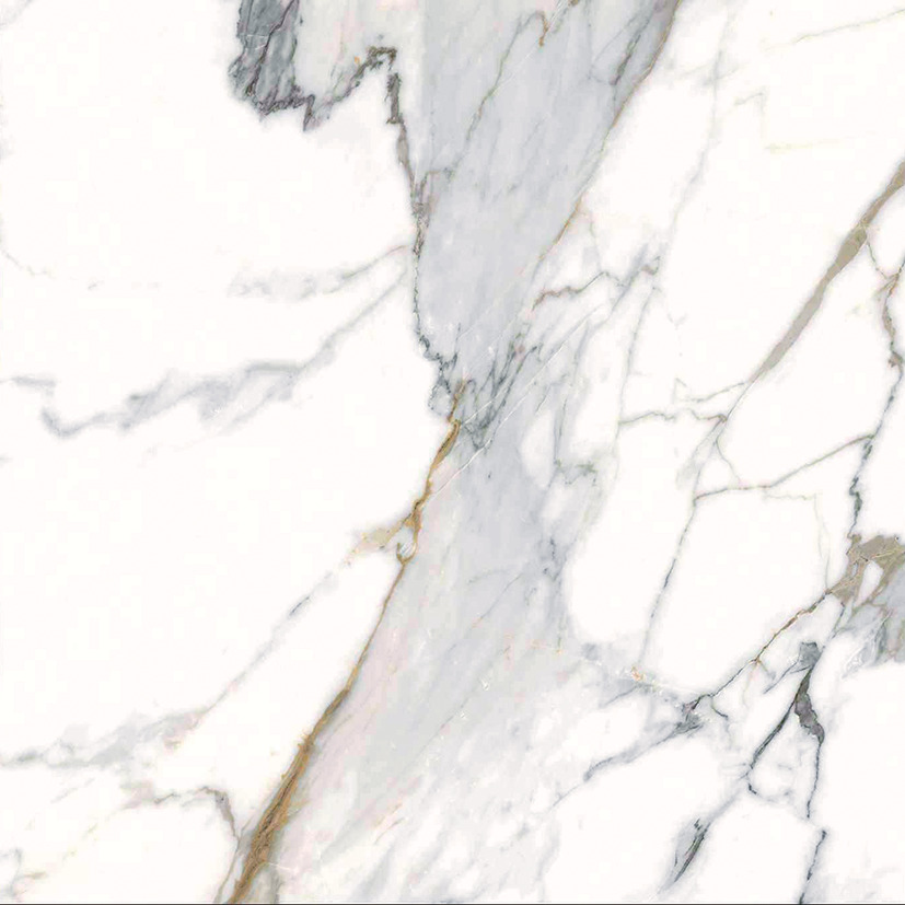 クレモソ個別601P