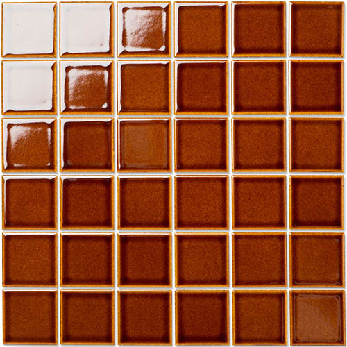 ディシオ個別50-055