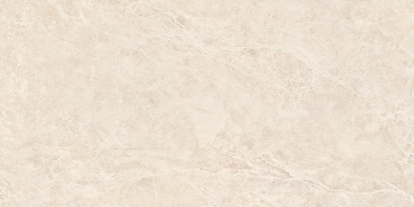 レジェンダ1260磨き個別10