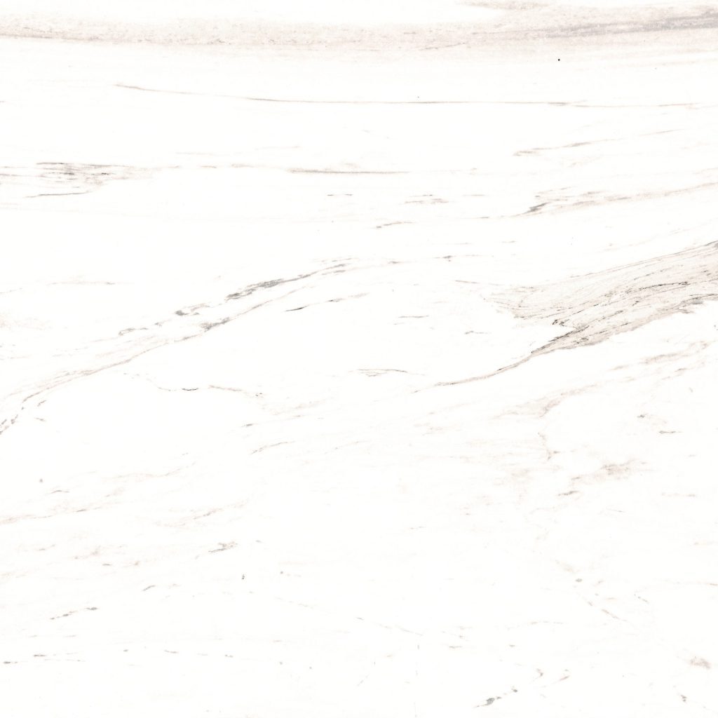 レジェンダ600磨き個別659