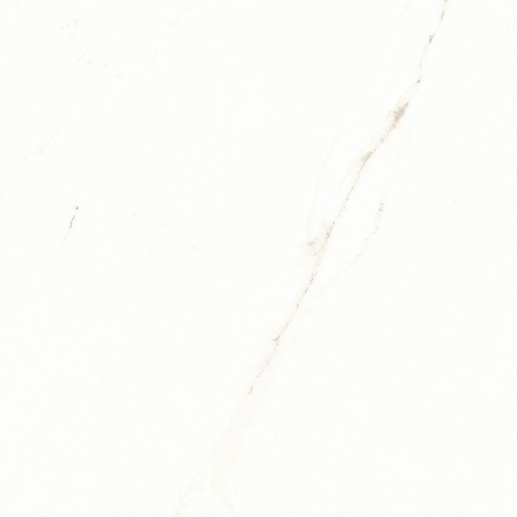 レジェンダ600磨き個別660