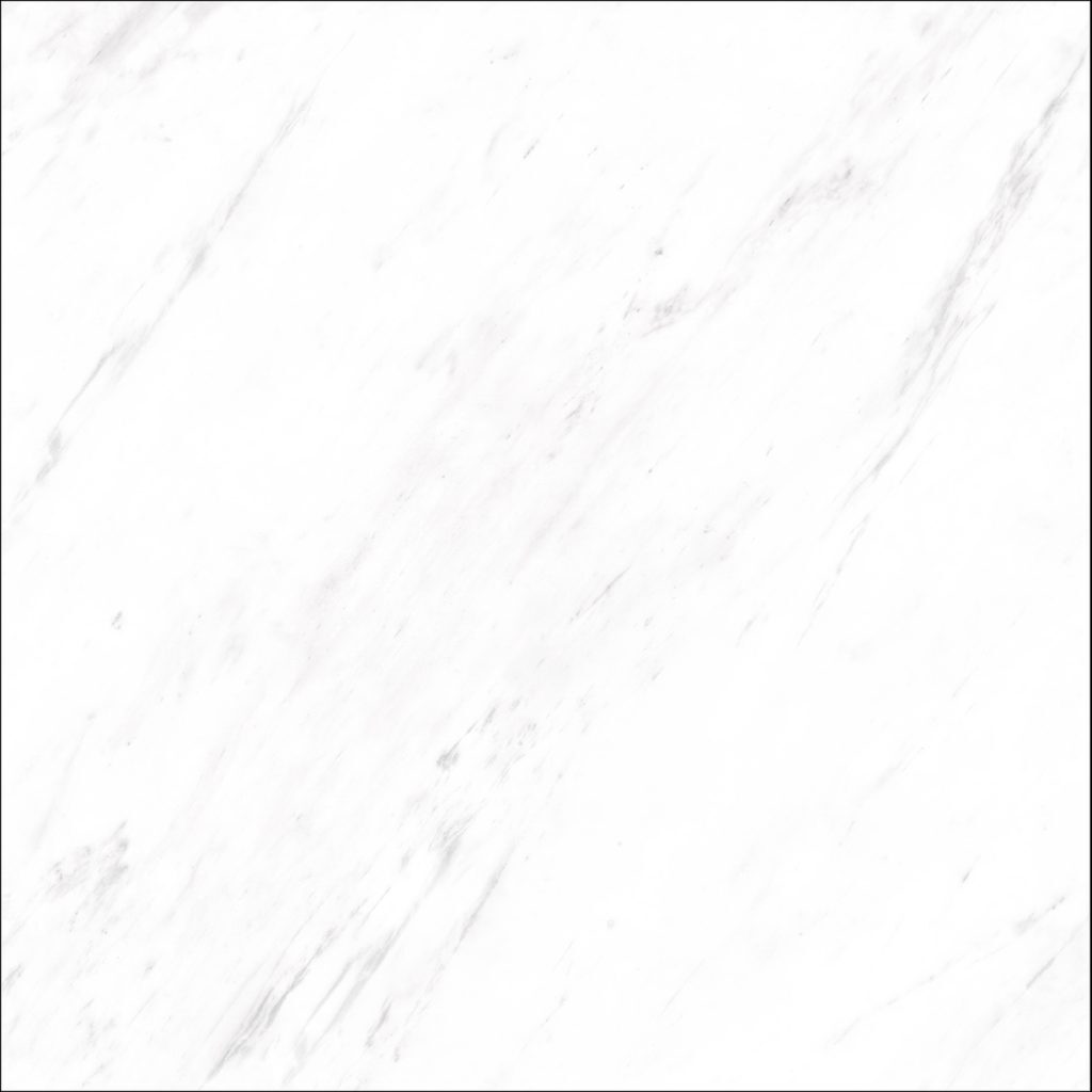 レジェンダ600磨き個別661