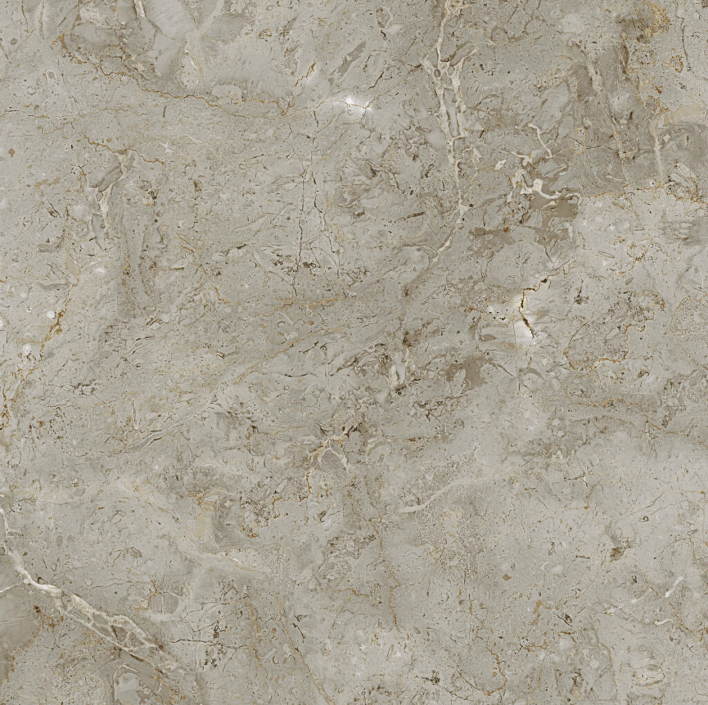 レジェンダ600磨き個別683