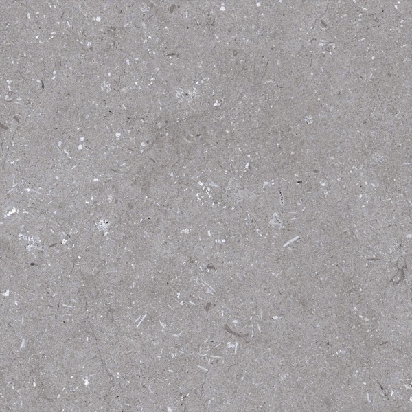 ピアチェーレ個別501