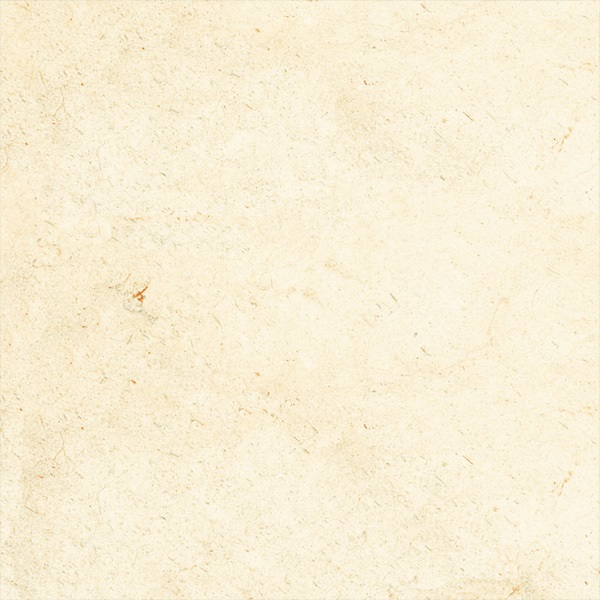 ピアチェーレ個別502