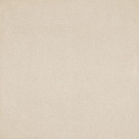 ピエトロネクスト個別02P