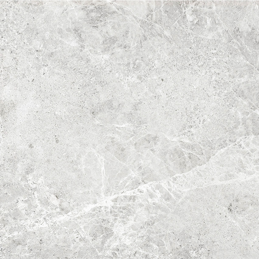 レッジョ個別714