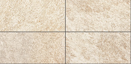 ロブスト417個別22