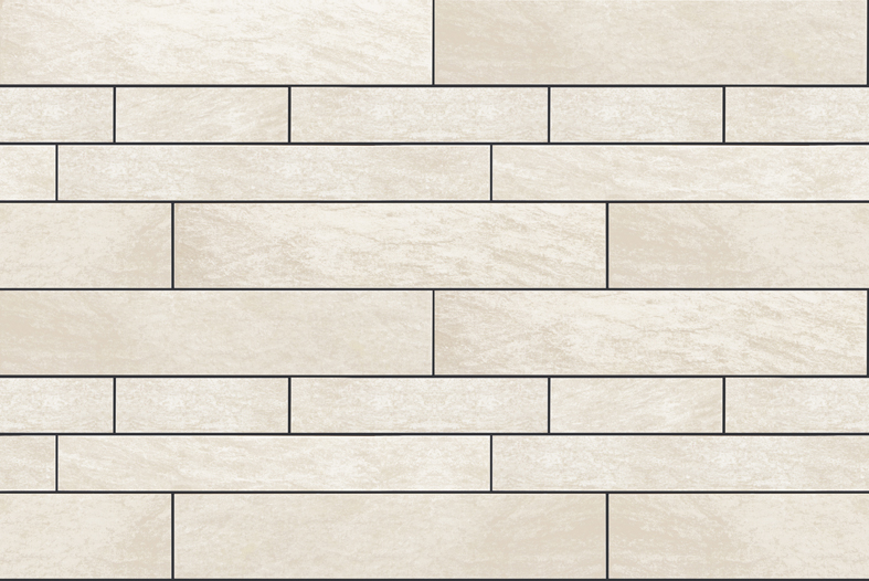 ロブスト乱尺個別21