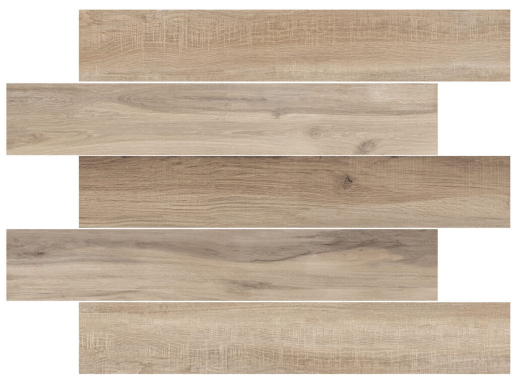 レーニョ個別100