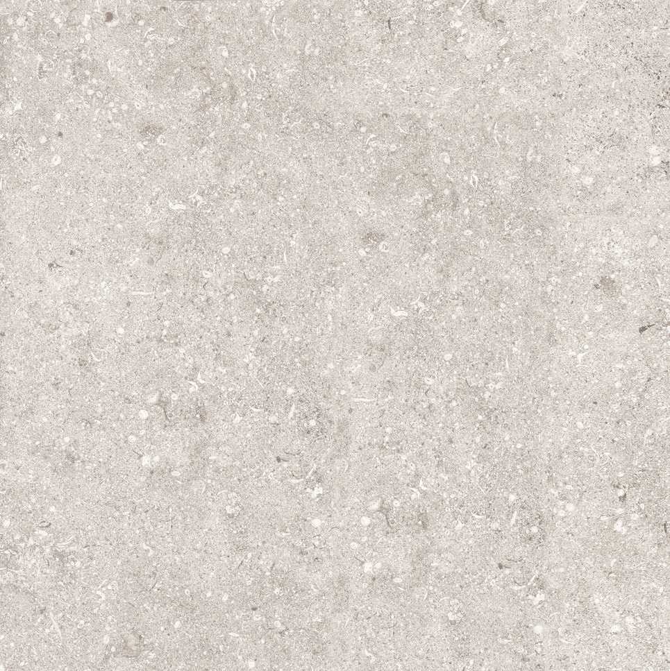 サペーレ個別10