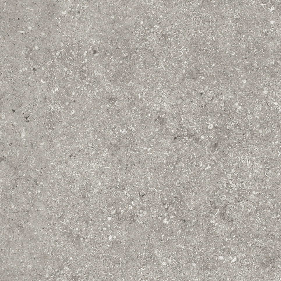 サペーレ個別20